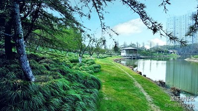 天氣還行，拍兩張