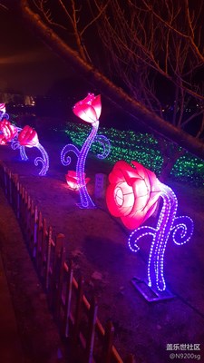 夜晚霓虹燈光之美