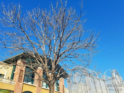 【家就在心中】有家人的地方，就是家的方向~~