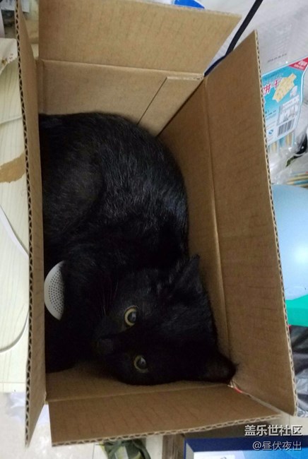 沒事兒就去看看寵物