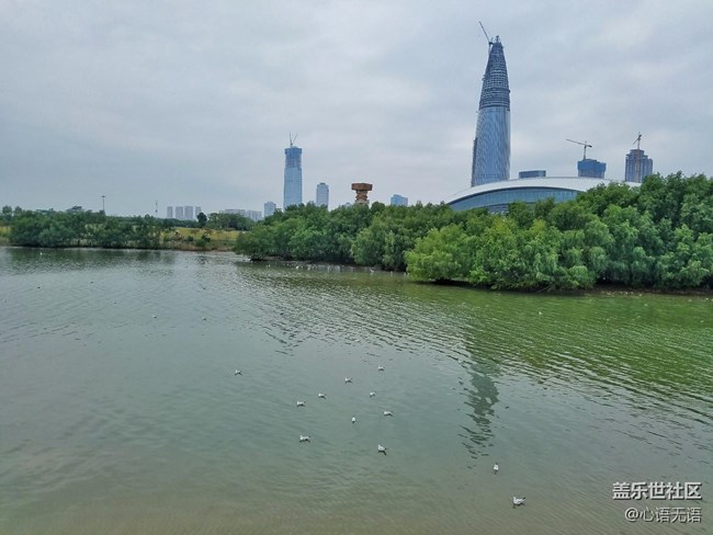 心語(yǔ)游深圳之春在深圳灣