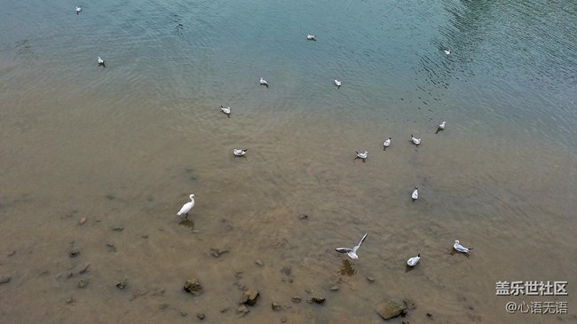 心語(yǔ)游深圳之春在深圳灣