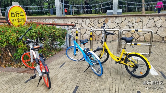 心語(yǔ)游深圳之春在深圳灣