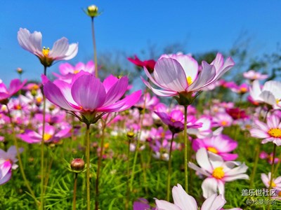 【春來了】+廈門+春暖花開