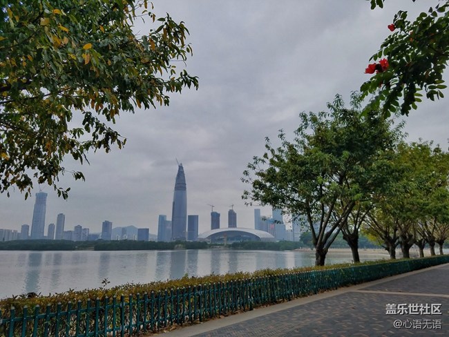 心語(yǔ)游深圳之春在深圳灣