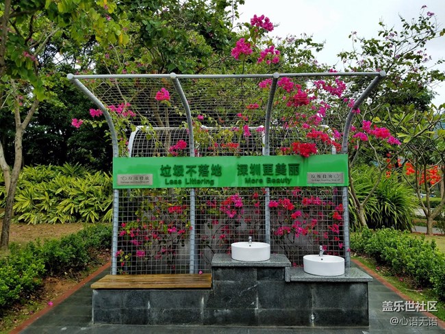 心語(yǔ)游深圳之春在深圳灣