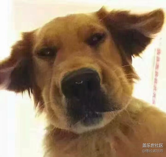 今天還有車嗎？