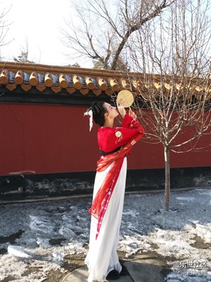 春天來(lái)了+哈爾濱+春風(fēng)送暖