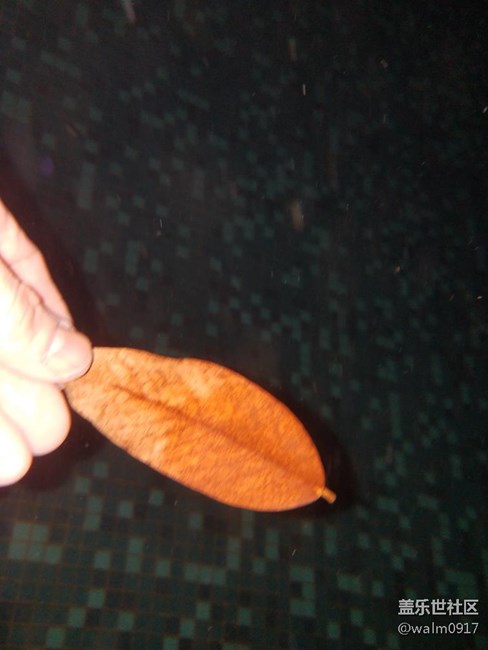 大防水還真心是給力