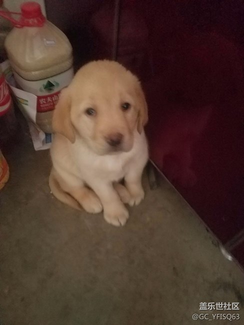 大家?guī)蛶兔? title=