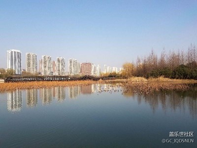 我的家鄉(xiāng)