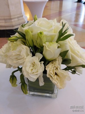 春來了＋徐州＋綠意蔥蔥