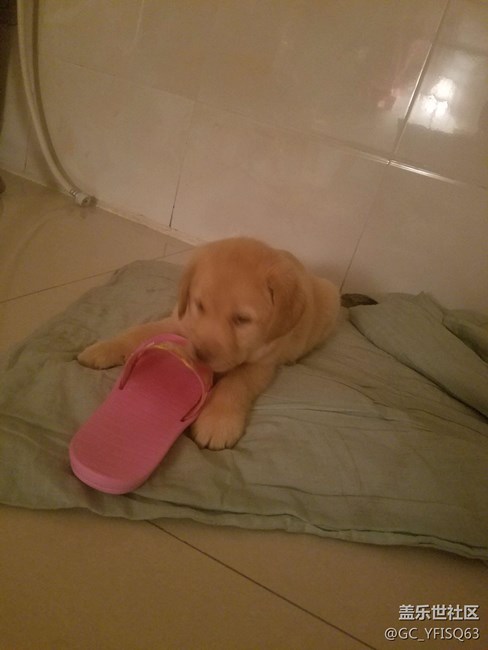 都是好人，