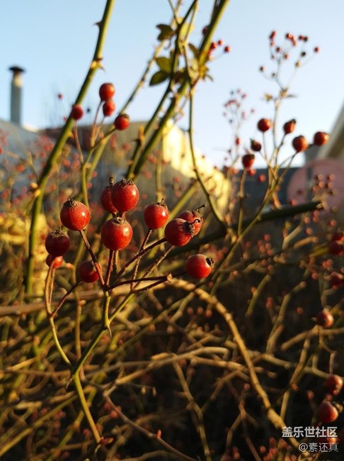 青出于藍(lán) 完美能效:三星Galaxy C7 Pro評析 青出于藍(lán) 完美能效:三星Galaxy C7 Pro評析