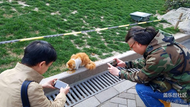 2017上海核心用戶會(huì)議全記錄花絮