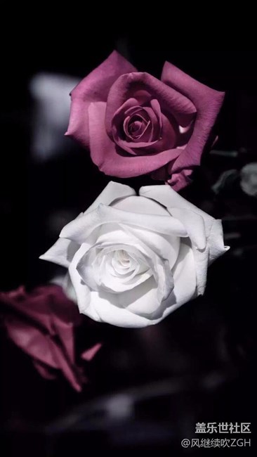 一些適合黑色手機(jī)的極致黑色壁紙