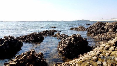 迎著春風(fēng)去海邊