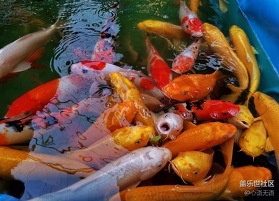 升級(jí)7.0后第一拍