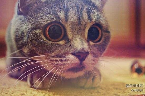 我想問問怎么安全回滾6.0？有沒有人知道？