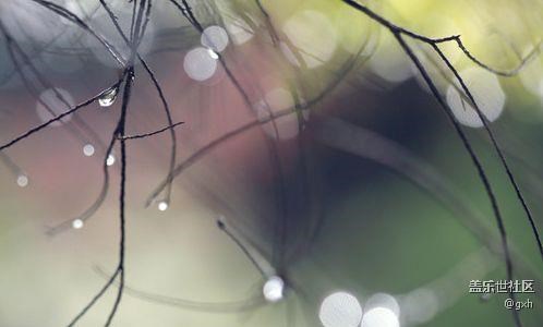 時(shí)間煮雨，成全自己！