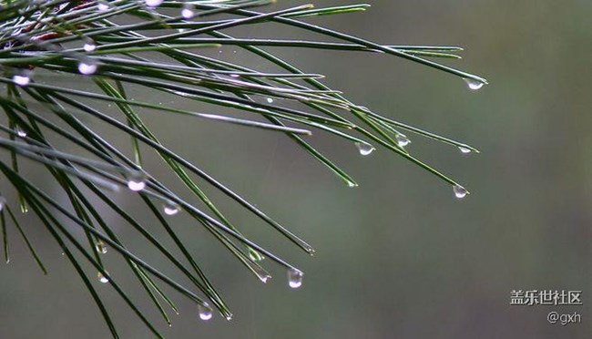 時(shí)間煮雨，成全自己！