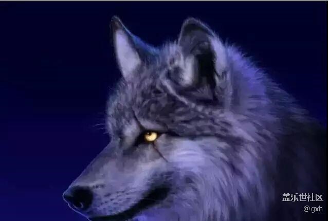 狼若回頭，必有理由！