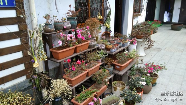 杭州小游之唐朝客棧