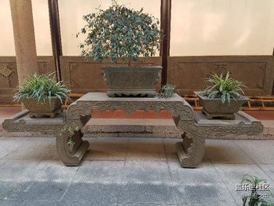 很喜歡這種花花草草的