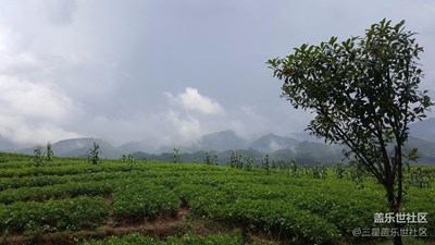 風云+陂頭+隨拍