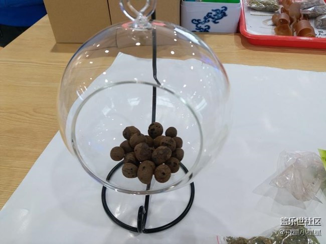 別出新裁的植樹節(jié)活動(dòng)回顧