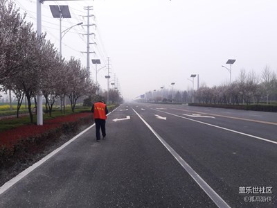 風云+駐馬店+花好如畫