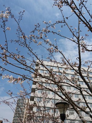 風云＋徐州＋美云