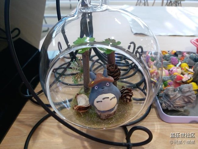 別出新裁的植樹節(jié)活動(dòng)回顧