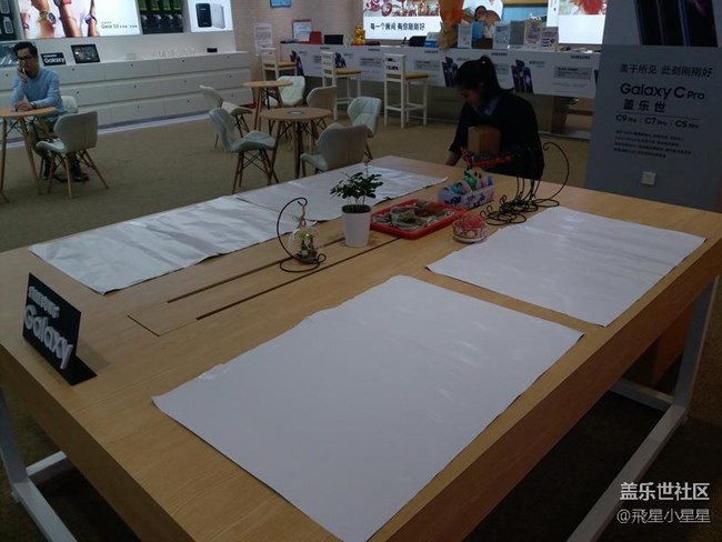 別出新裁的植樹節(jié)活動(dòng)回顧