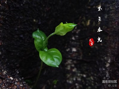 春分時(shí)節(jié)，不負(fù)春光
