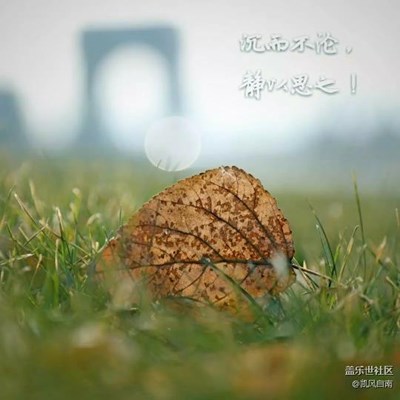 沉而不淪，靜以思之！