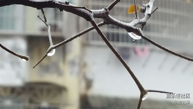 連續(xù)的下雨天