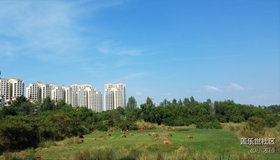 *鏡下清純的海南