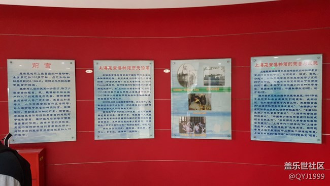 分享一下上海昆蟲博物館參觀心得 分享一下上海昆蟲博物館參觀心得