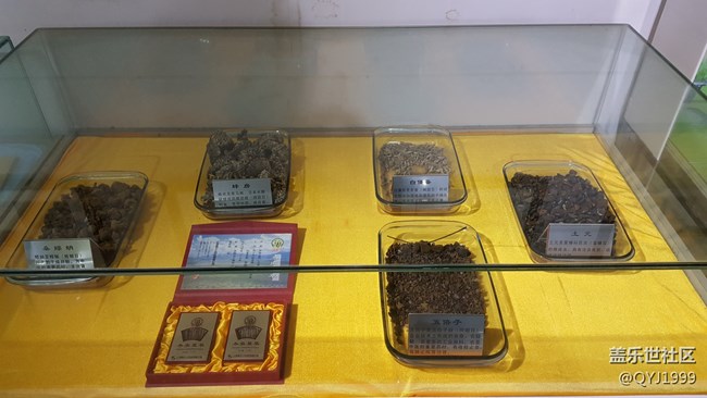 分享一下上海昆蟲博物館參觀心得 分享一下上海昆蟲博物館參觀心得