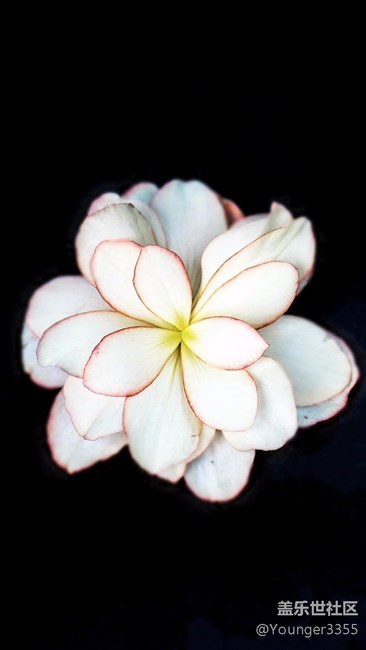 7.0并沒(méi)有覺(jué)得像網(wǎng)上流傳那樣！(壁紙分享)