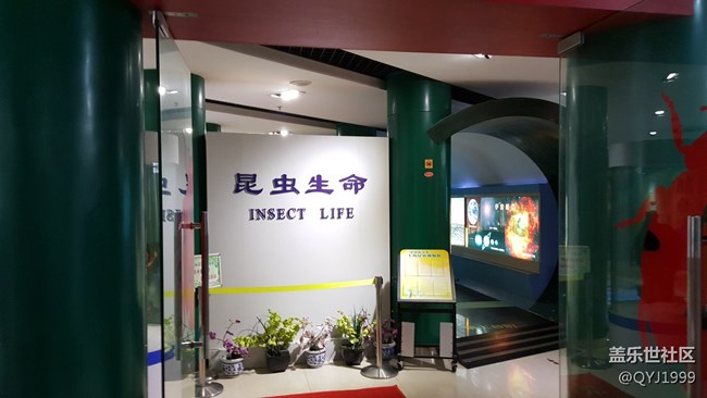 分享一下上海昆蟲博物館參觀心得 分享一下上海昆蟲博物館參觀心得