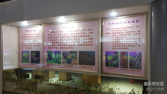 分享一下上海昆蟲博物館參觀心得 分享一下上海昆蟲博物館參觀心得