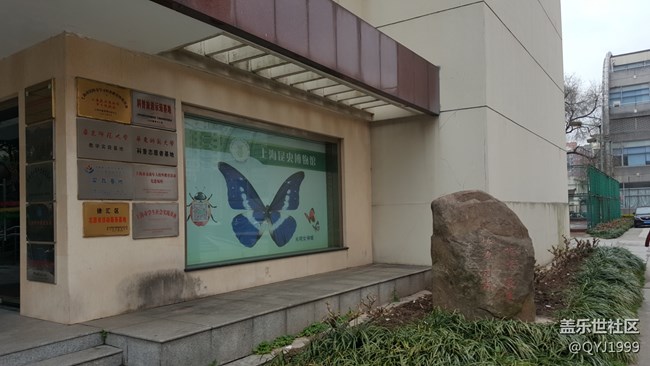 分享一下上海昆蟲博物館參觀心得 分享一下上海昆蟲博物館參觀心得