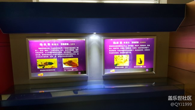 分享一下上海昆蟲博物館參觀心得 分享一下上海昆蟲博物館參觀心得