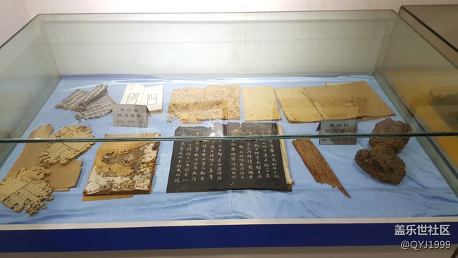 分享一下上海昆蟲博物館參觀心得 分享一下上海昆蟲博物館參觀心得