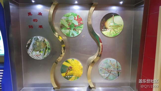 分享一下上海昆蟲博物館參觀心得 分享一下上海昆蟲博物館參觀心得