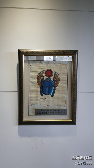 分享一下上海昆蟲博物館參觀心得 分享一下上海昆蟲博物館參觀心得