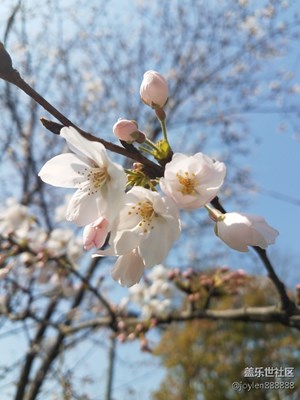 Samsung galaxy s7 edge 隨手拍