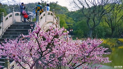 游太倉(cāng)南苑